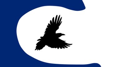 8: GABRIOLA ISLAND (7.06 points)- Is the raven trying to escape a tsunami? Because if so, it's a goner- The blue is actually supposed to represent the famed rock galleries, which is hard for non-Islanders to tell- But still! A nontraditional design that really works