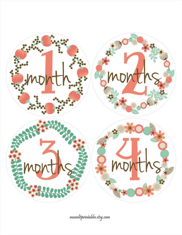 moonlitprints's tweet photo. FREE GIFT, Baby Month Stickers, Baby Girl Month Stickers, Monthly Baby Stickers Orange, Monthly Age Sticker, Bodysuit Stickers (221) https://t.co/fvUXSDU6l0 #MoonLitPrintables #Etsy #ScrapbookStickers https://t.co/MmdGd2s3cZ