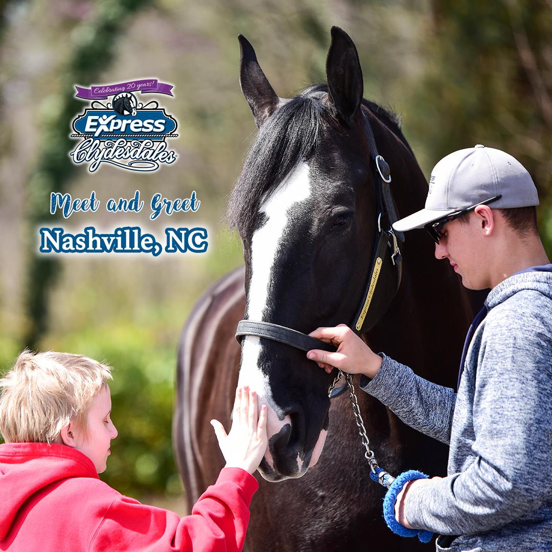 We'd love for you to stop by the barn tomorrow for a Meet &amp; Greet, stagecoach rides and photos with the horses!

1:00 p.m. — 5:00 p.m.
6272 Old Bailey Hwy
Nashville, NC 27856

#ExpressClydesdales #ExpressPros #MeetandGreet