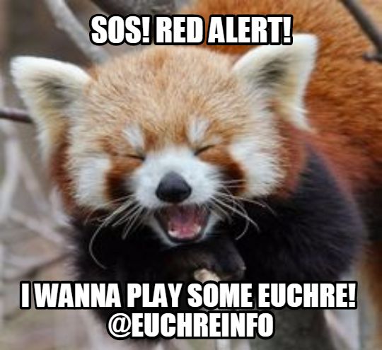 EuchreInfo's tweet photo. @bailey_mariee1 SOS! Red Alert! I wanna play some Euchre! https://t.co/Bx17fRc7fV