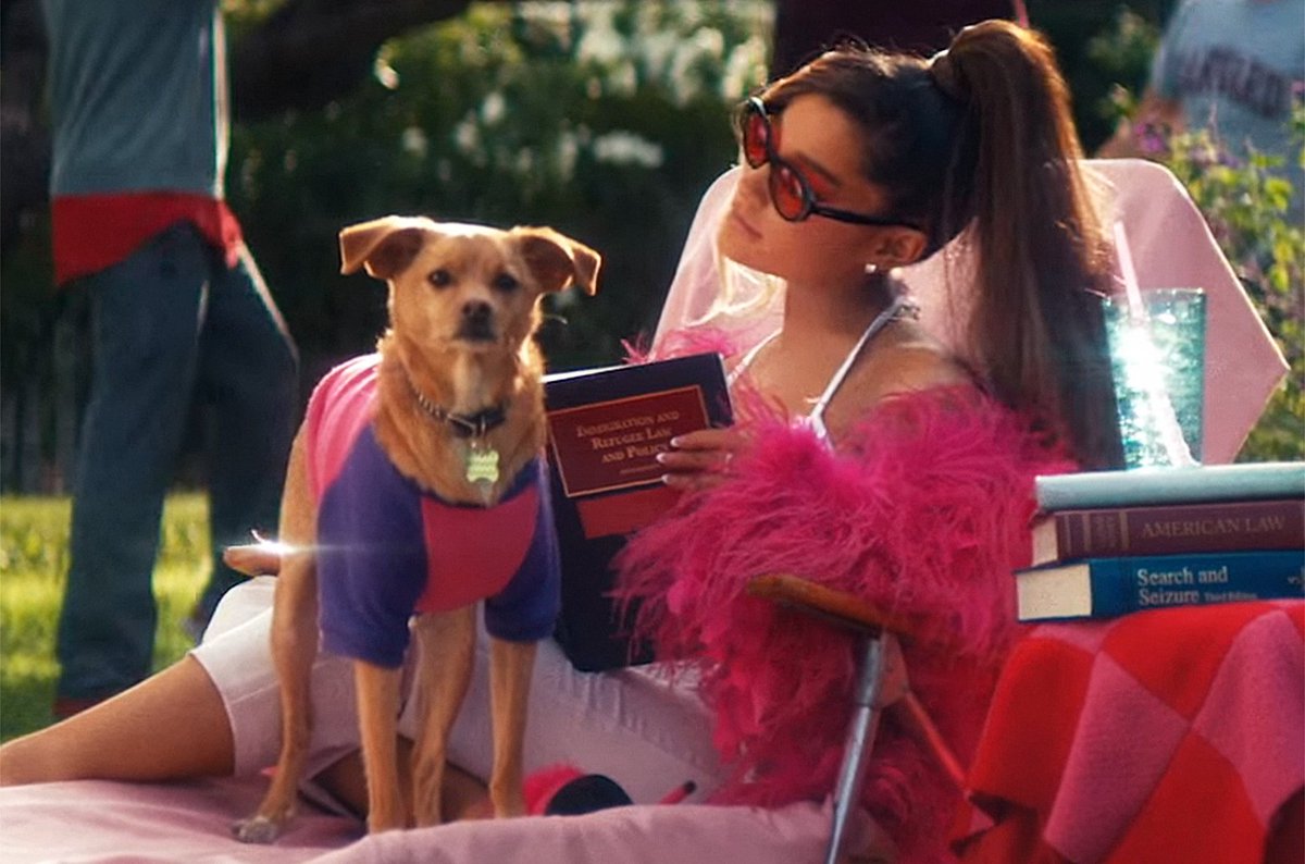 billboard (@billboard) on Twitter photo 2018-12-01 01:40:09 Ariana Grande throws (subtle) shade at Donald Trump in #ThankUNextVideo blbrd.cm/ns4J7g Ariana Grande throws (subtle) shade at Donald Trump in #ThankUNextVideo blbrd.cm/ns4J7g