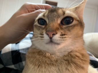 ㅋㅋㅋOri’s faceㅋㅋㅋ