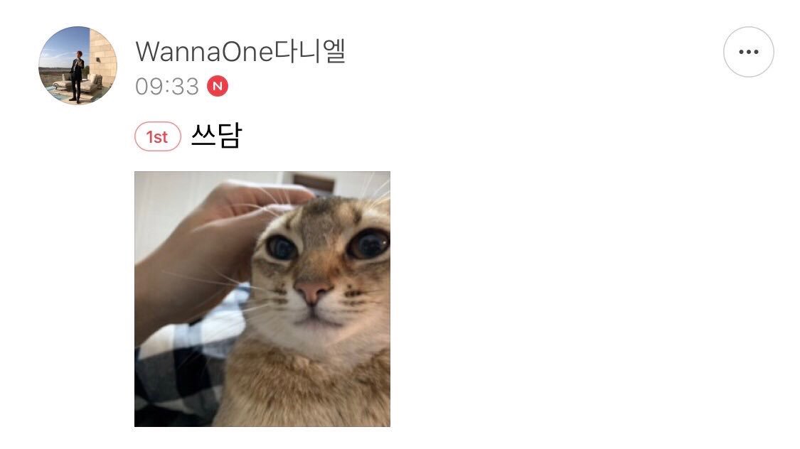 ㅋㅋㅋOri’s faceㅋㅋㅋ