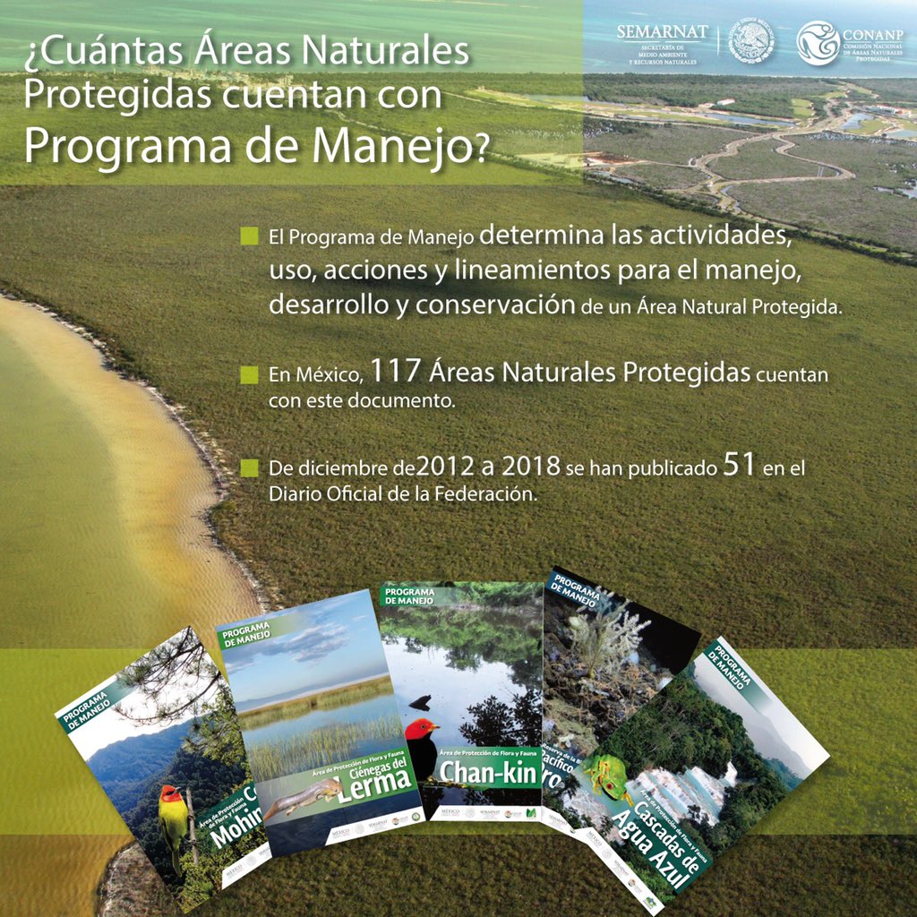 Con estos documentos aseguramos la protección a futuro de la invaluable riqueza natural que habitan en #Revillagigedo #CaribeMexicano y #ValleDeBravo. Hoy, la <a href="/CONANP_mx/">CONANP</a> cuenta con 117 #ProgramasDeManejo, de los cuales 51 se publicaron en esta administración. 🇲🇽🍃
