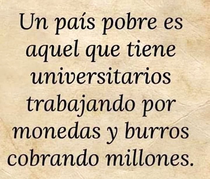Lorenzo Castro LLibre 💫 tweet media