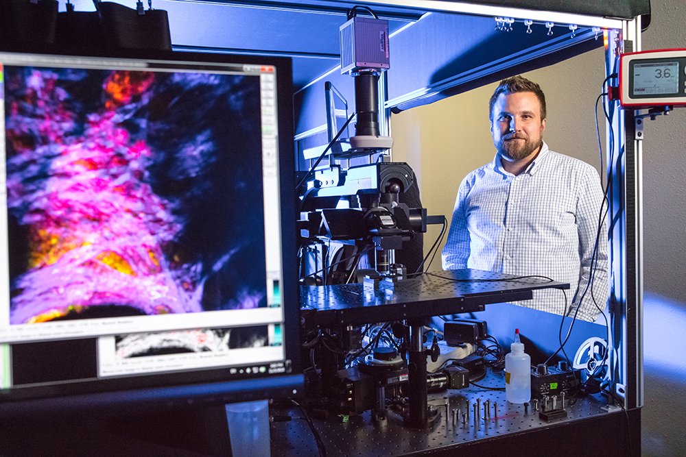 NIBIB (@nibibgov) on Twitter photo Researchers <a href="/UArkansas/">University of Arkansas</a> and #NIBIBfunded used non-invasive imaging technique with new biomarker to observe wound metabolism and to diagnose, monitor chronic wounds ow.ly/hlPv30mOYXg Researchers <a href="/UArkansas/">University of Arkansas</a> and #NIBIBfunded used non-invasive imaging technique with new biomarker to observe wound metabolism and to diagnose, monitor chronic wounds ow.ly/hlPv30mOYXg