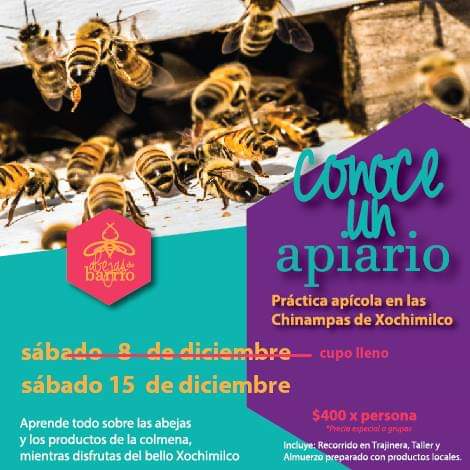 Abejas De Barrio (@abejasdebarrio) on Twitter photo 