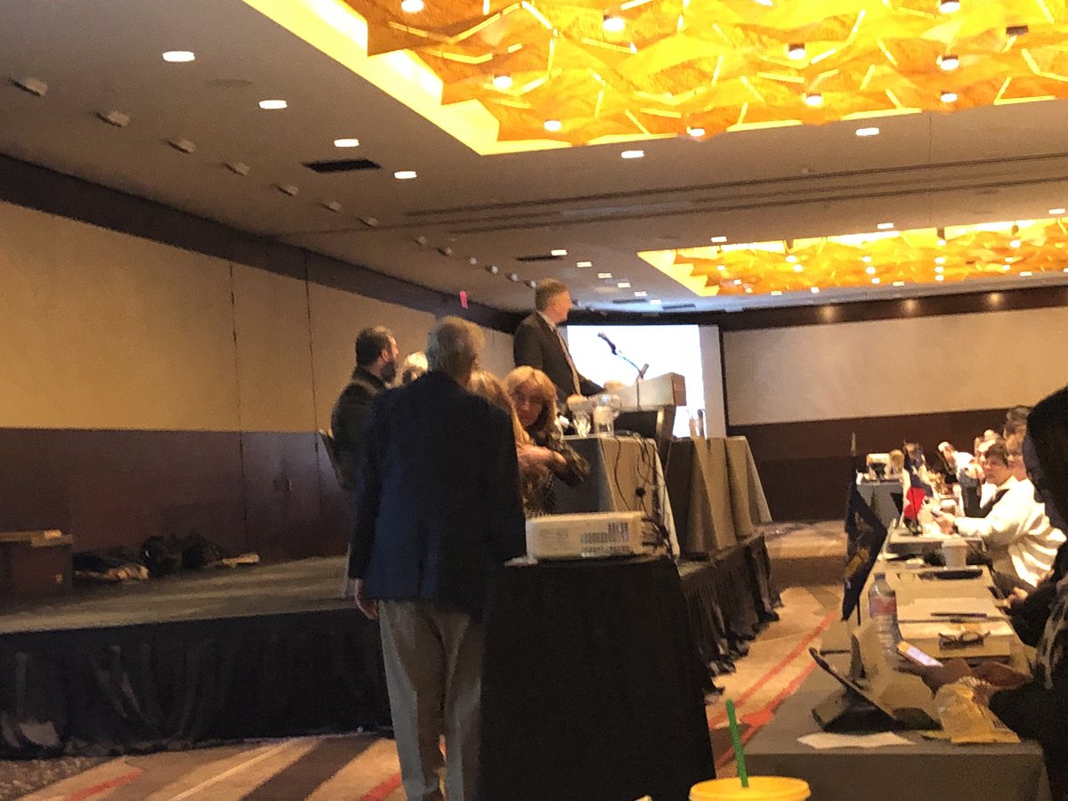 GASocStudies's tweet photo. GCSS is officially @NCSSNetwork Gold Star Council again this year! #ncss18 #gcss18 https://t.co/7LVjPND5lW