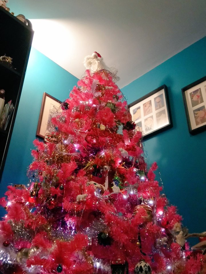 DrSteve_Jones's tweet photo. This might be its final year...RETURN OF YE FESTIVE FUCHSIA APOCALYPSE https://t.co/YVZFM0JTAZ