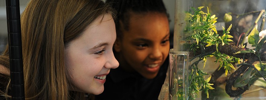 VAI_Education's tweet photo. Does your 5th or 6th grader love science? There is still time for them to apply to our winter Afterschool Cohort program where they can think and act like scientists! Register today: https://t.co/jGR5C1yPiT https://t.co/BF38RHMWwv