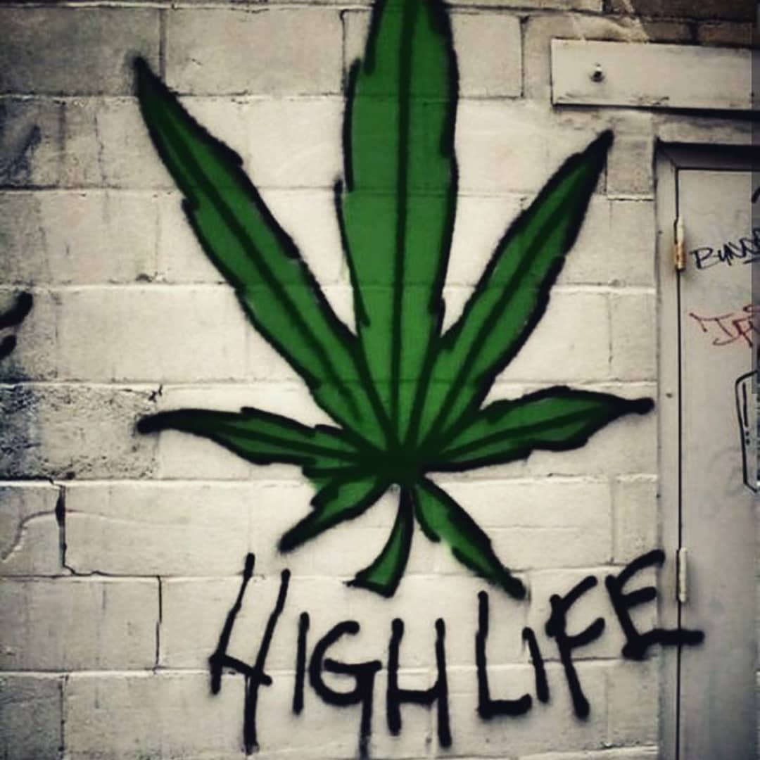 Weed_Lex's tweet image. Keep blazing ad stay amazing
#weedlex #weedstagram420 #marijuanamodels #marijuanagram #420babes #710community #cannabisheals #weed420 #uk420 #smokers