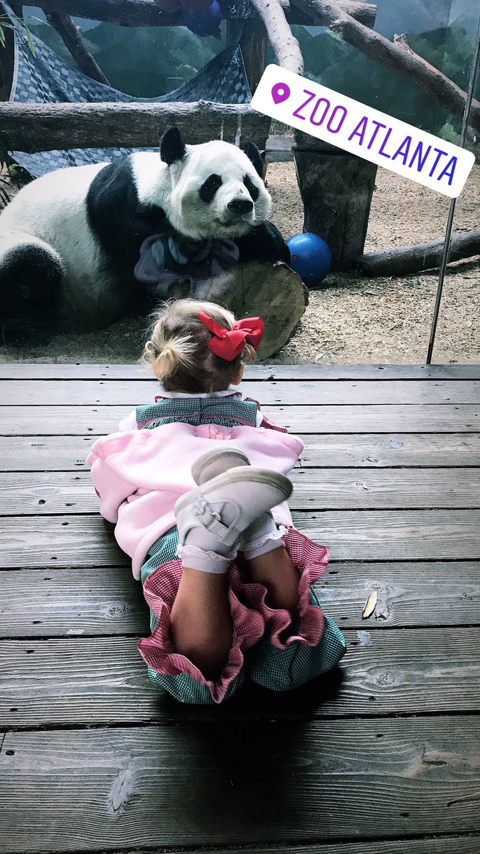 katierk1983's tweet photo. @ZooATL #firsttime #tellingsecrets @sarahekirtland https://t.co/8HqdJB7XE0