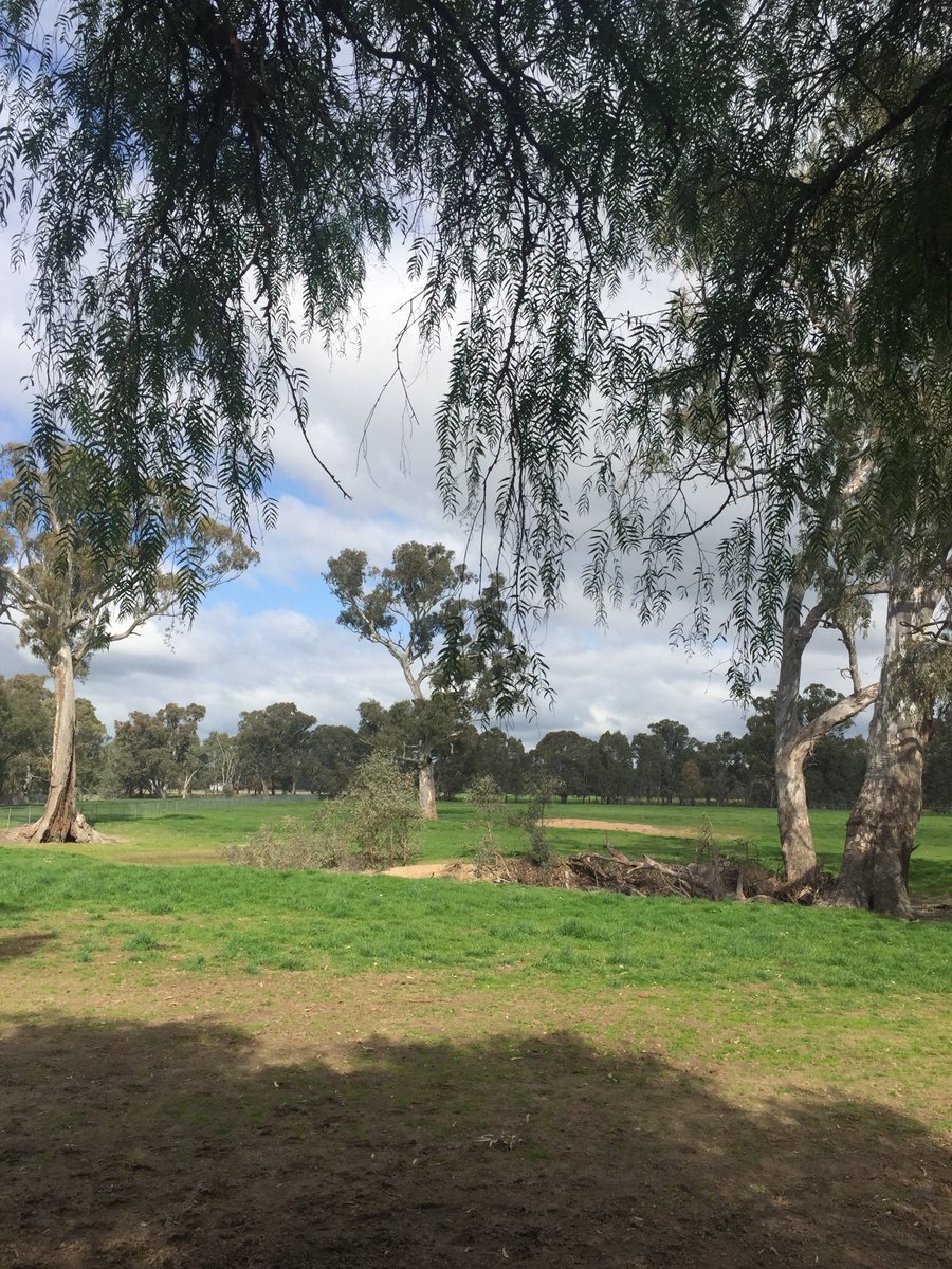 riverbankfarm1's tweet photo. Welcome Summer here @riverbankfarm1 breed to race with us #BOULDERCITY #WAYEDZAIN #ANACHEEVA #SKILLED #REDENTE #VONCOSTADEHERO #RIVERBANKFARM #BREED2RACE πππ @vicbreeders @HorsecoExchange @breednet @Aushorse_TBA @Racing @GaiWaterhouse1 @cwallerracing https://t.co/yRTA5NFtrS
