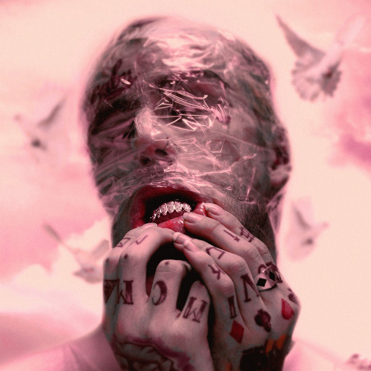 HlGHDEMAND's tweet image. Come Over When You're Sober (2LP Deluxe) ✨
Alternate Artwork, Tracklist, Logo, Inlet/LP Concept, Designed by me.
All support appreciated 🖤