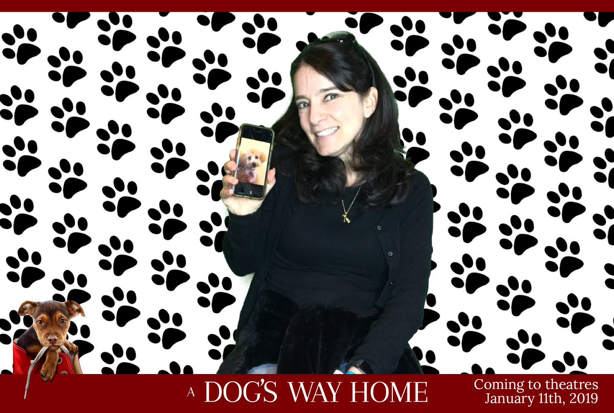 KidCongeniality's tweet photo. If you โค๏ธ dogs you must check out these cool finds from Petcon๐ ๐ถ๐พ ๐ https://t.co/5MiGWc56RK #Petcon #doglover #adogspurpose @SonyPictures #adogspurposemovie #dogs #dogsoftwitter #pets #dogsupplies #petsupplies #nycdogs #doglife #dogsarefamily #petsarefamily #puppylove https://t.co/Fx71PuLmOH
