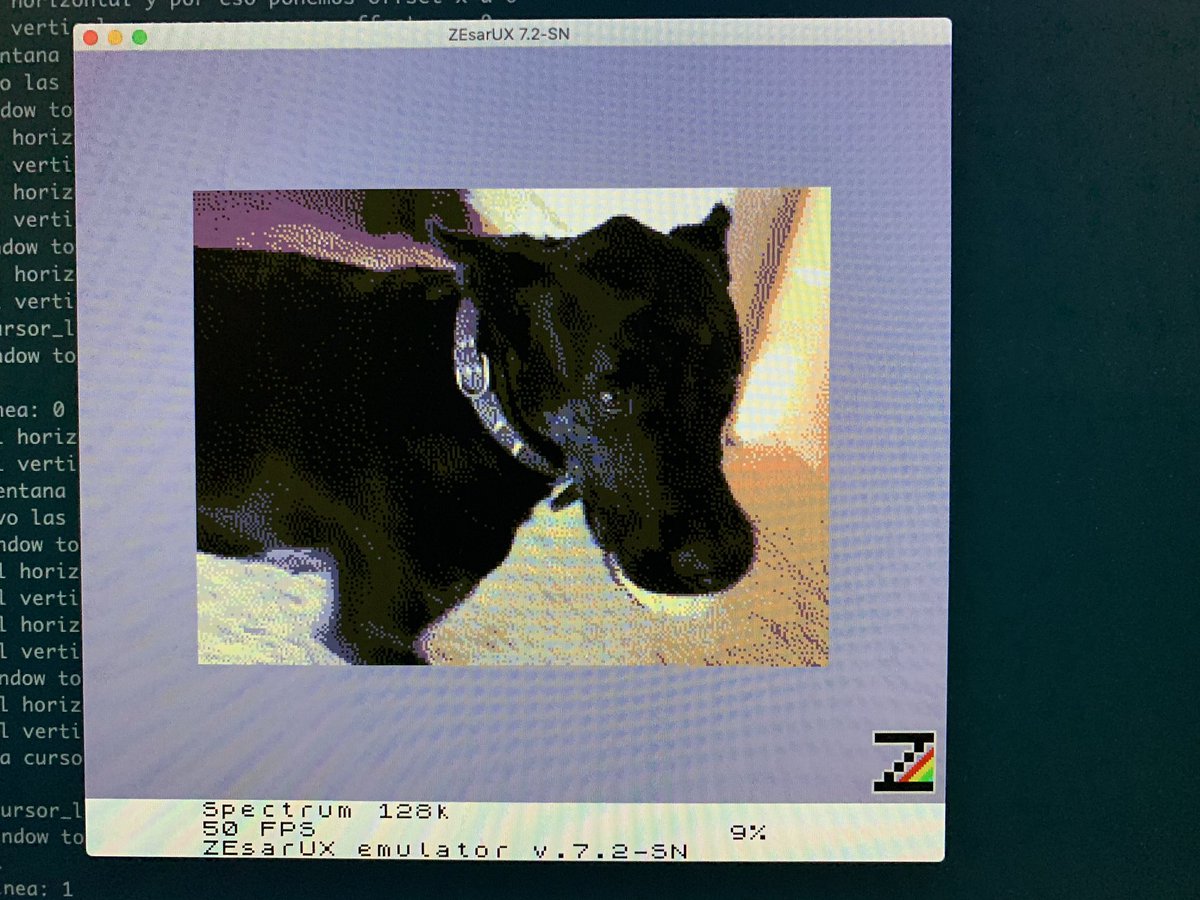 zesarux's tweet image. Next ZEsarUX version will be called “Neula” edition. Neula was a dog who died recently and I loved her. I think this is a nice tribute to her