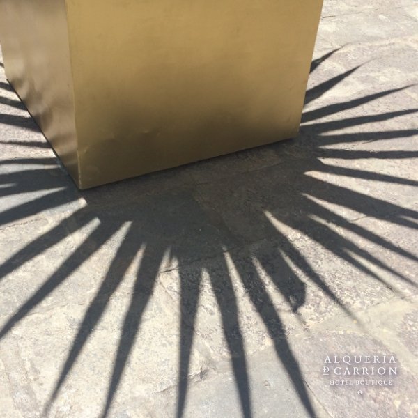 Capturing all around 📸☀️

#hotelboutique #Atlixco #Puebla #Tesorosdemexico #Atlixcomagico