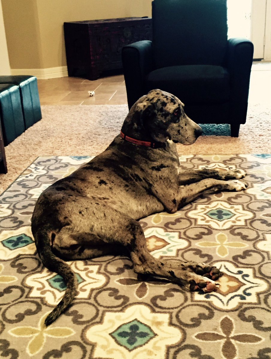 “Your body may be gone, I'm gonna carry you in. In my head, in my heart, in my soul.” - Isaac Brock