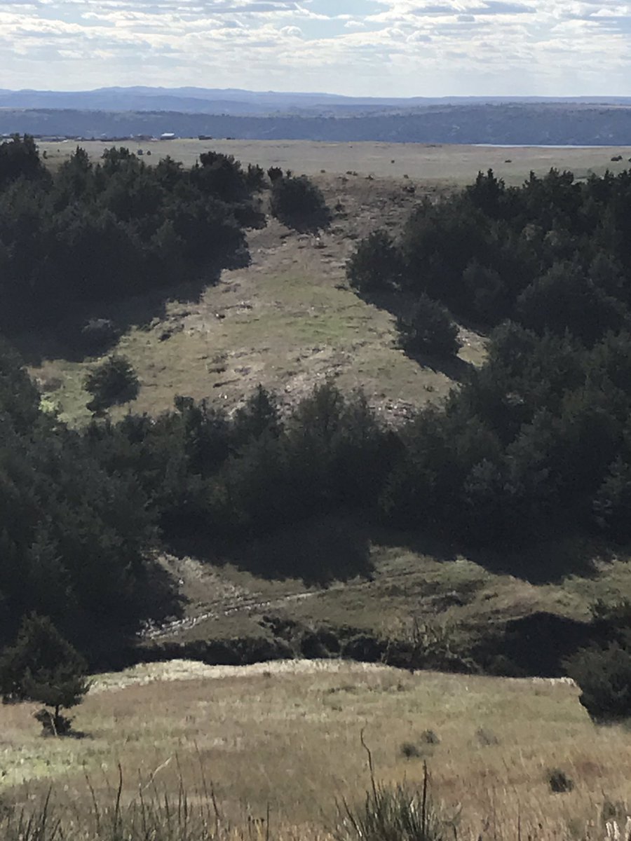 MerissaJoi's tweet photo. Eastern Red Cedars are encroaching pastures along the Missouri River. @NRCS_SD and @SDPheasants Forever are working in collaboration to monitor sites where the invasion and removal process of the trees are being observed by utilizing PF’s drone with a sentera sensor. https://t.co/2Kgcb0X8rg