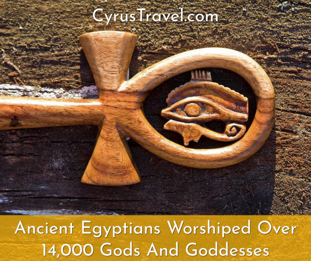 Cyrus Travel tweet media