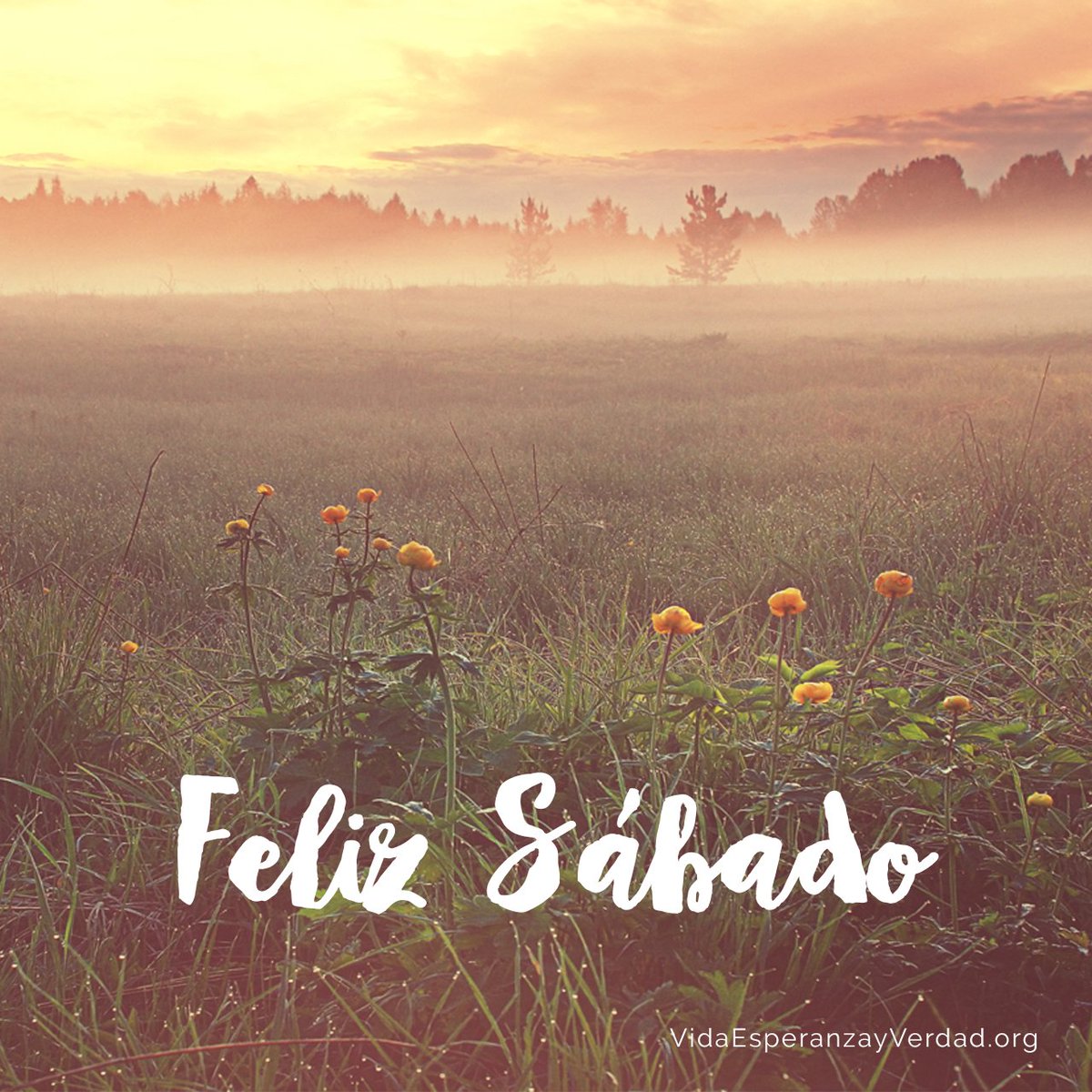 VidaEspVerdad's tweet photo. ¡Feliz sábado! https://t.co/bywwzfYnpL