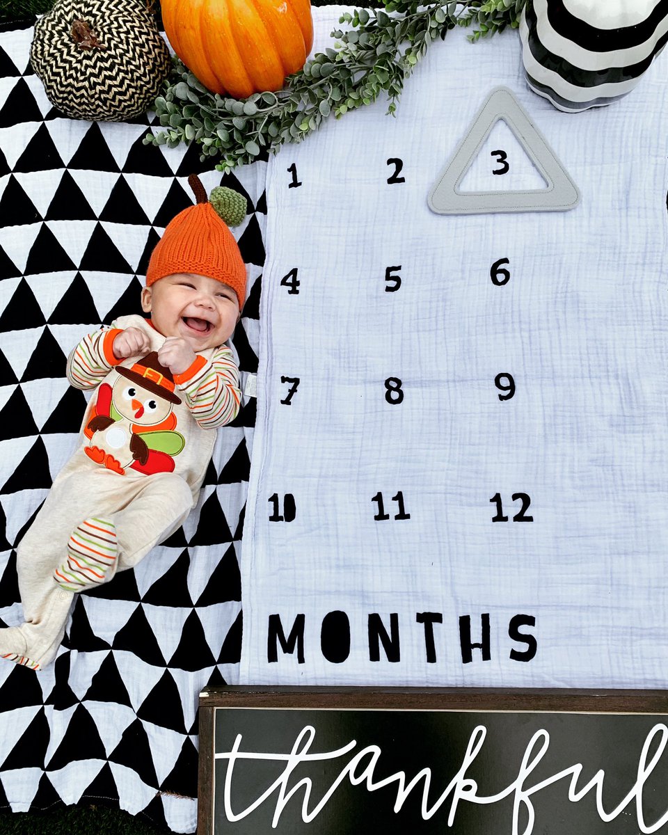 🐯 3   M O N T H S!!!! 🐯 

Time really does fly when you’re having fun. Felix the Tiger is 3 months old already and this momma would be fine with time slowing down just a bit. 

🌟STATS: 15 lbs. / 25 inches

👍🏼 LIKES: Mommy the best (seriously).

☹️ DISLIKES: Riding in the car.