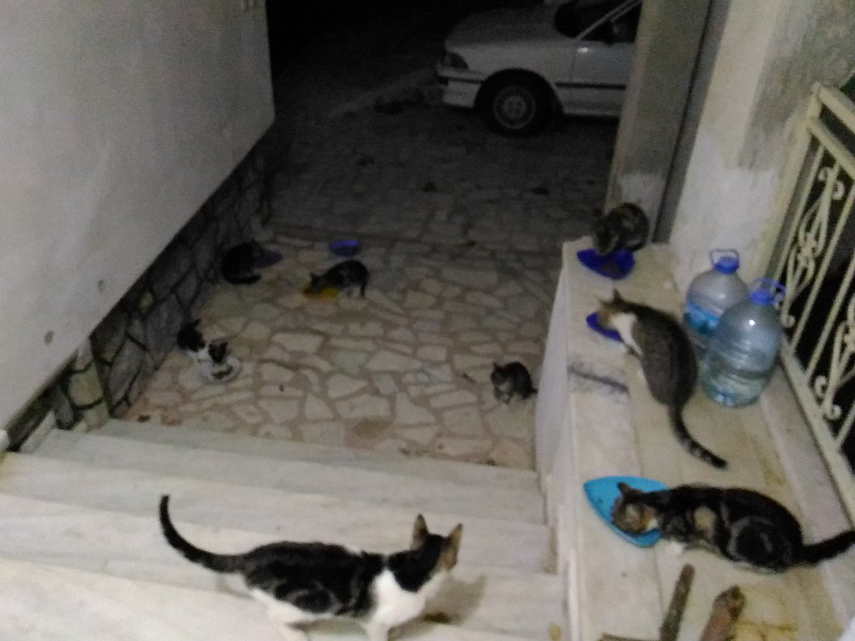 Onlara destek çıkalım.
#BuMamaBenden