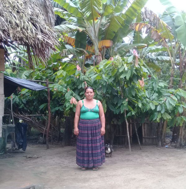 worldrenew_lamt's tweet photo. In North Guatemala, a small community, San Martin II struggled to thrive. When World Renew’s local partner, Presbyterian Service Committee of Kekchi paid a visit to her village 3 years ago, Teresa Maquin considered it God’s response to her prayers. Read at https://t.co/rZdbI4R5zt https://t.co/ip8DODofxt