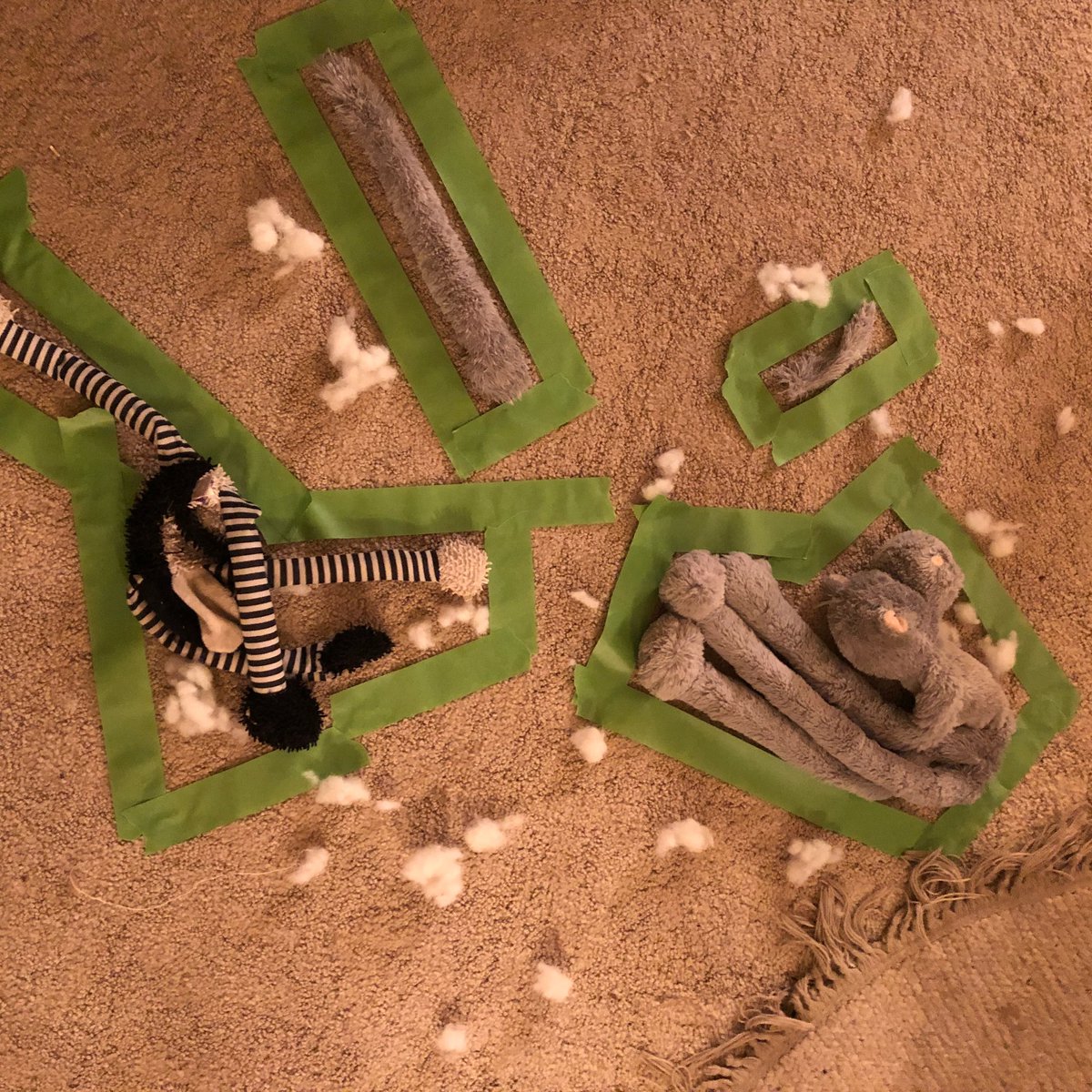 MarcyBrush's tweet photo. Doing some #tough #interrogations with the dogs tonight. Wonder which one will fess up. #dogmom #goldendoodle #goldenretriever #whodoneit #wasitMissScarletwithacandlestick or possibly the #butler #Finn #lotsoffluff #limbseverwhere https://t.co/3VzHqcVOGs