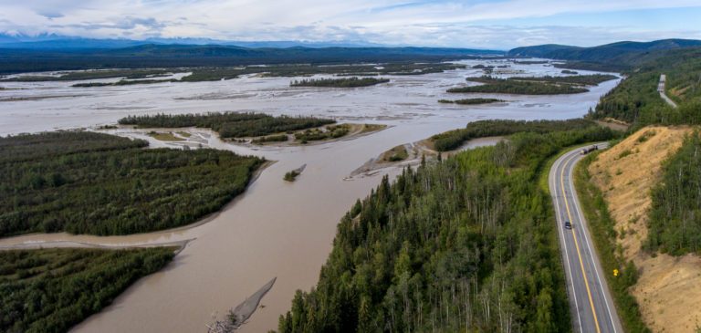 Burbot: the lobster of Interior Alaska nothinginbiology.org/2018/11/30/bur…