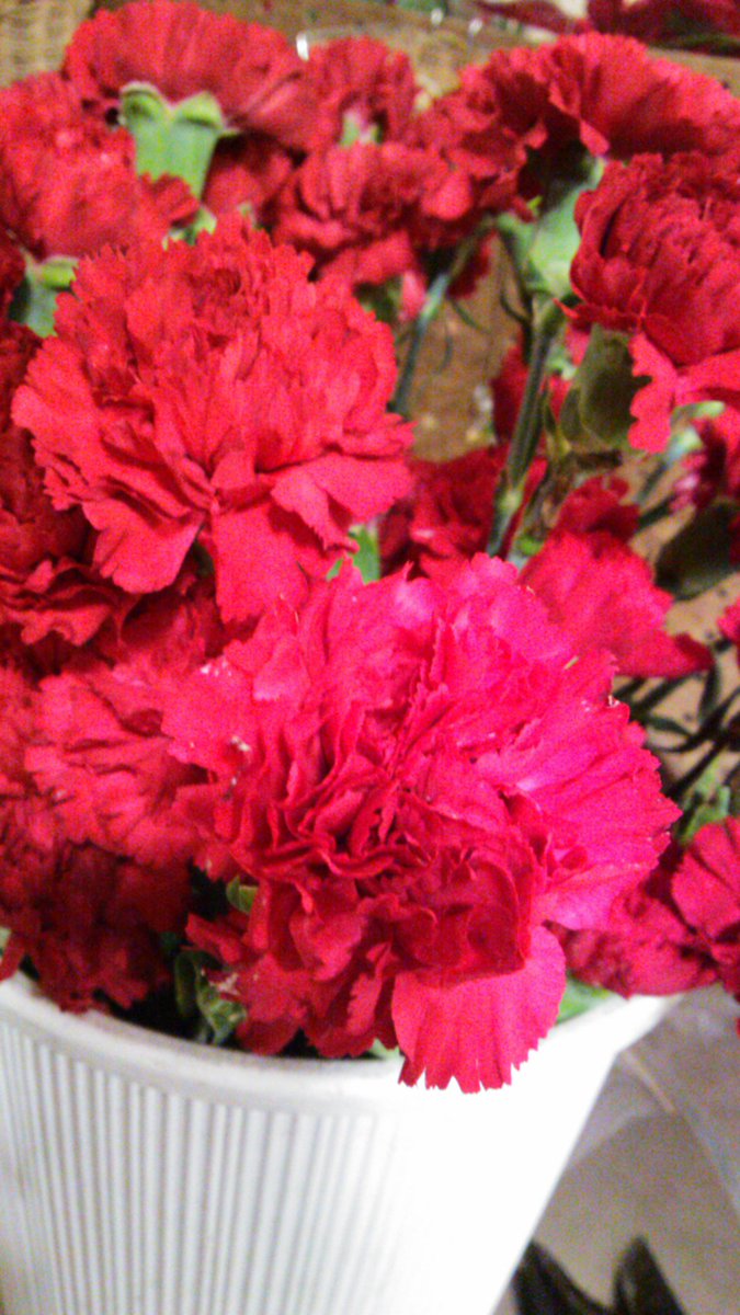 flowerkens's tweet photo. おはようございます!!本日の震災復興支援10円チャリティーはカーネーションです!お一つ10円!限定50個!フレンテ西宮にて皆様のお越しをお待ちしております! #東日本大震災 https://t.co/tJVzJXQkaX