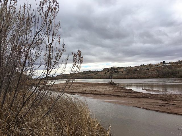 IlsaVanhook's tweet photo. Took a walk by the Rio Grande https://t.co/wEKXrzm8xO https://t.co/U4OeN93HI4