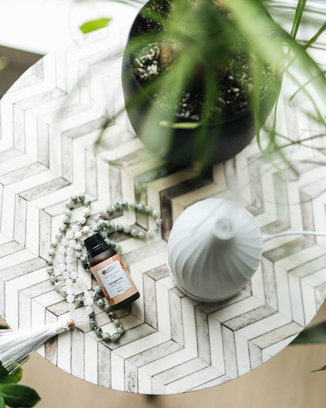 fernandpetal.ca tweet media