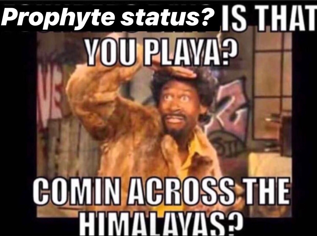 la borrachita _g tweet media