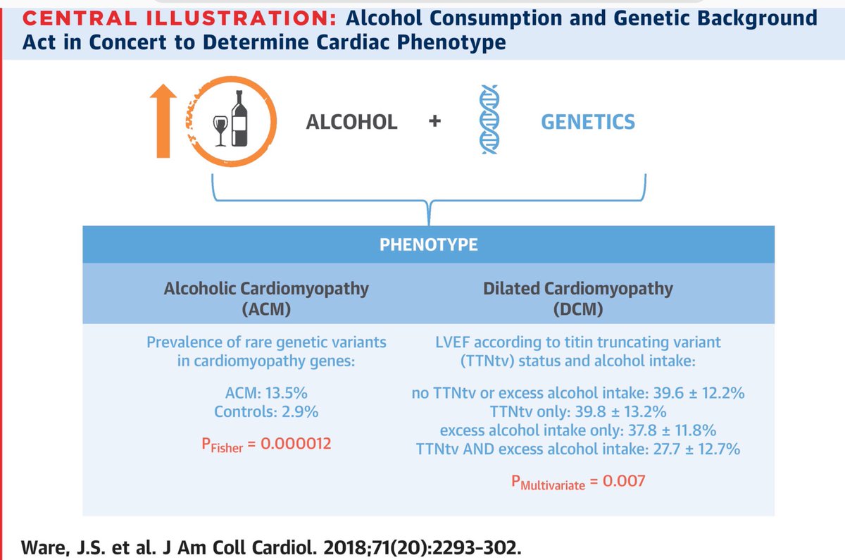 Este estudio (CIBERV)revela que la miocardiopatìa dilatada atribuible al #alcohol exhibe una significativa susceptibilidad genética(TTNtv), por lo que debería efectuarse un estudio genético para identificar a los familiares con riesgo de sufrirla.
sciencedirect.com/science/articl…