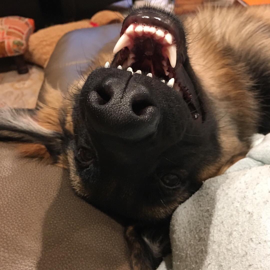 olsonmb's tweet image. Hang in there! Keep your eyes on the prize💕 #AmySchumer