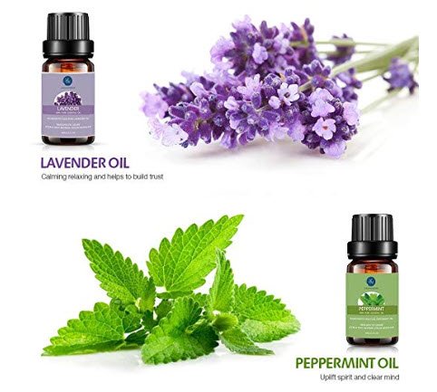 SmartlyShop's tweet image. Lagunamoon Essential Oils Top 6 Gift Set Pure Essential Oils for Diffuser, 
This gift set includes six 10mL bottles of aromatherapy essential oils: lemongrass, peppermint, orange, lavender, eucalyptus, and tea tree. 
smartly-shop.com/essential-oils…