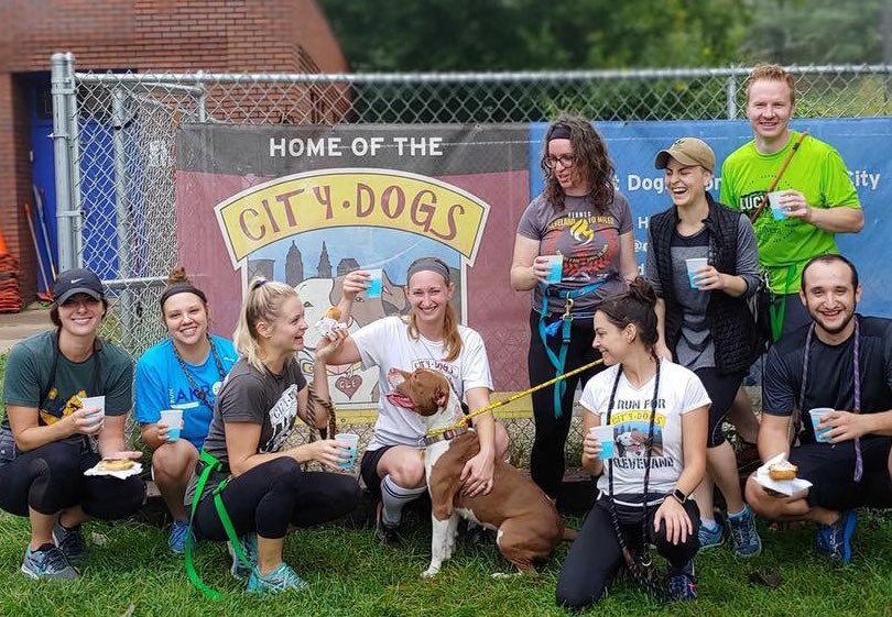 CityDogsCLE's tweet photo. #KittyTakeover
7️⃣ How many dogs do you know with their very own squad? Our volunteers LOVE Kitty and REALLY want to see her in a loving home. ☺️ #adopt #citydog https://t.co/ecBnbdQ0K5