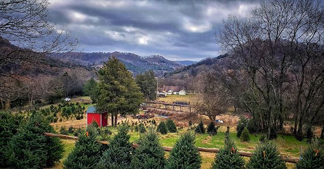 FernwehFreya's tweet image. #roadsideamerica #havefuntoday #happydays #neverstopexploring #travelwriter #instago #wanderlust #ig_captures #liveauthentically #liveunscripted #killeverygram #christmastreefarm #simplepleasures #whyweadventure #photographysouls #wildwoodchristmastreefa… ift.tt/2DTjWjG