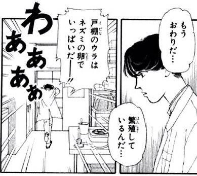 川瀬すくり در توییتر 私の動物のお医者さんシンドローム ネズミ嫌いの二階堂くんのセリフ この後の漆原教授の 誰だネズミの卵とか言った奴は 留年させるぞ も好き