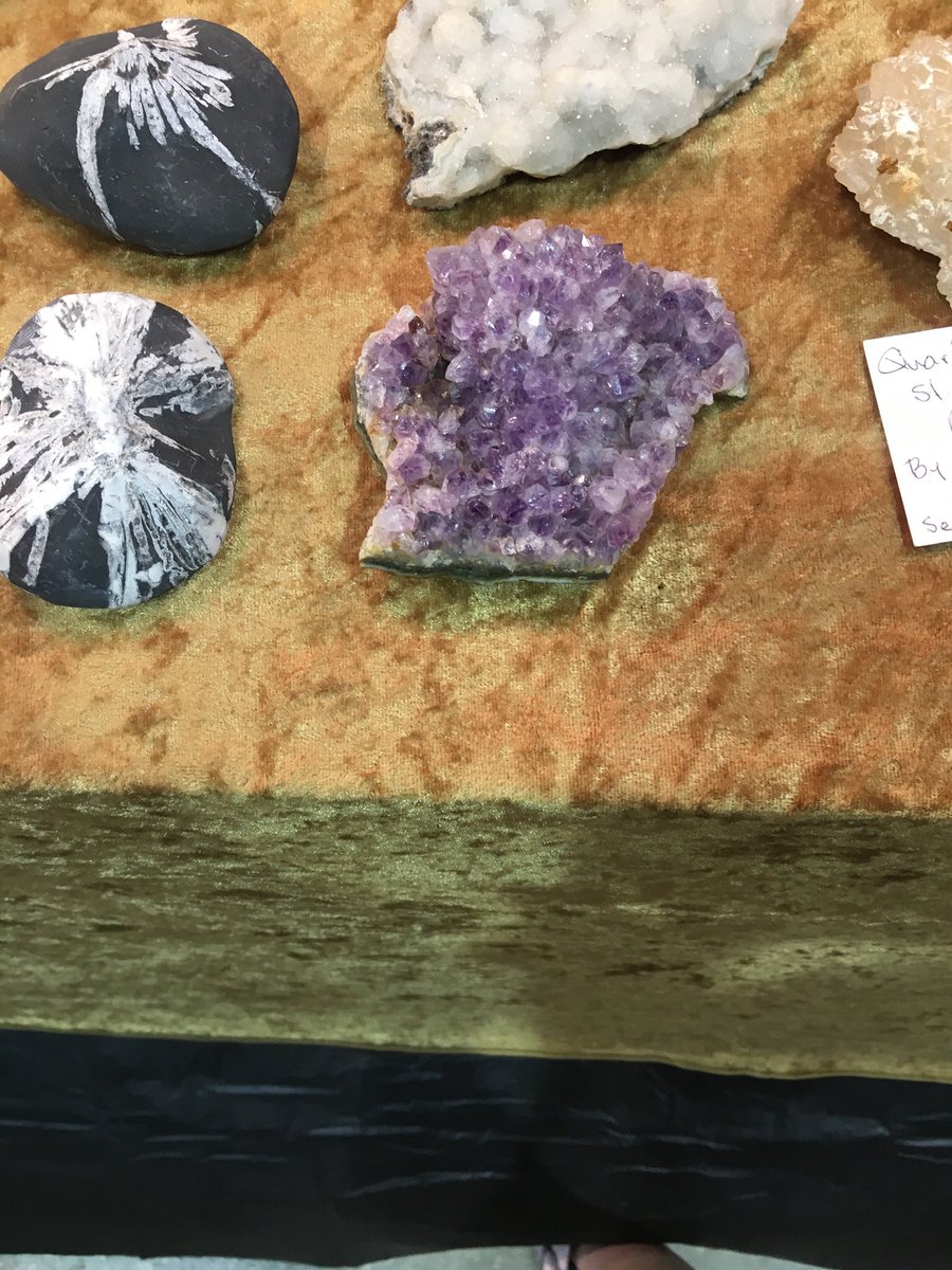 Vmilligan18's tweet photo. DALLAS GEM AND MINERAL SHOW!
@ambarnes8 #esslove #geologyROCKS #dallasgemandmineralshow https://t.co/lW5UcH3EoC