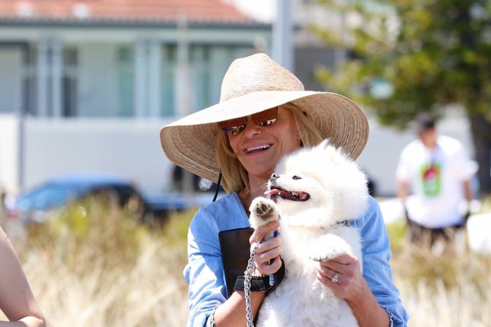 BronnyLane's tweet image. What a wonderful day out! Thank you to @DJs_Photos for these wonderful snaps for #jingleballsdogsdayout for @POTHAustralia and #4legs