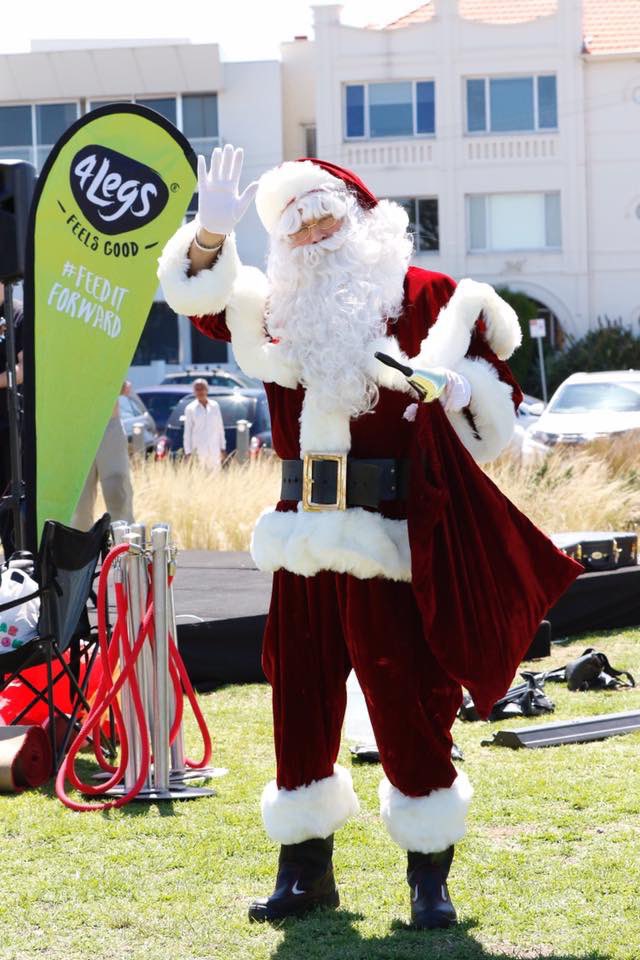 BronnyLane's tweet image. What a wonderful day out! Thank you to @DJs_Photos for these wonderful snaps for #jingleballsdogsdayout for @POTHAustralia and #4legs