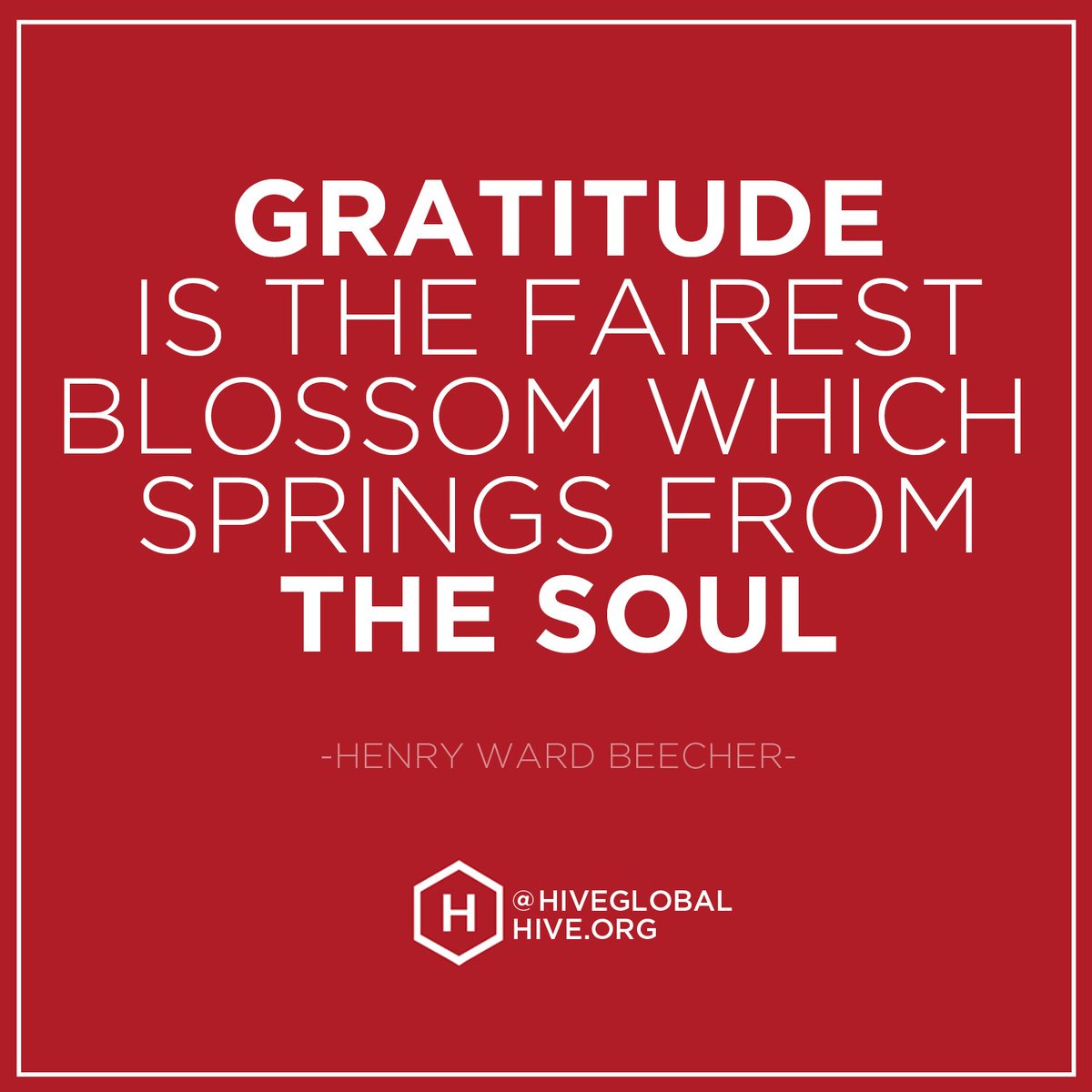 hiveglobal's tweet photo. "Gratitude is the fairest blossom which springs from the soul.” —Henry Ward Beecher https://t.co/QoelVOicAy