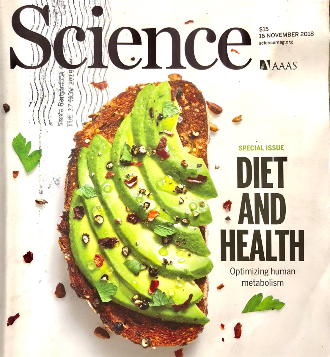 Avocado toast on the cover of science!  Surely Santa Barbara avocados?