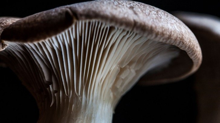 5 unexpected solutions to the #plastic crisis  zurl.co/9TW4   #wastesolution #plasticcrisis