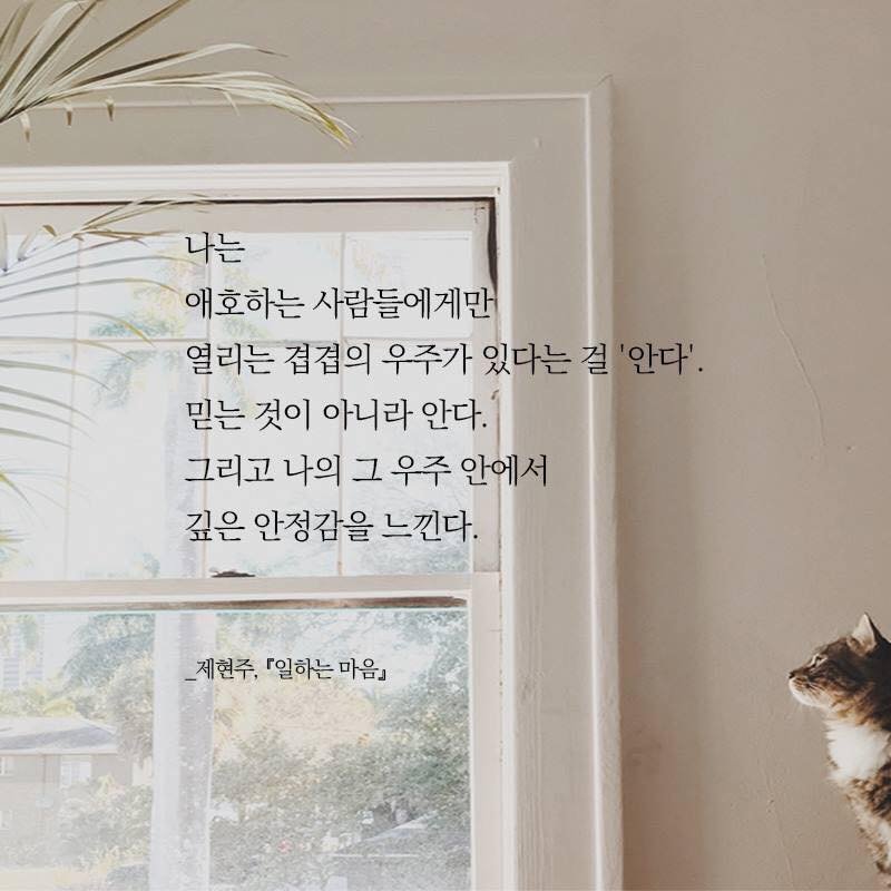 NMinusOne's tweet photo. 이것 볼 때마다 생각하는데, 여기에 고양이 이미지 넣은 거 너무 절묘하다. 나는 스키를 생각하면서 쓴 구절임에도, 고양이를 집어넣은 마케터님 역시 대단하심. https://t.co/HyHXgOFWWj