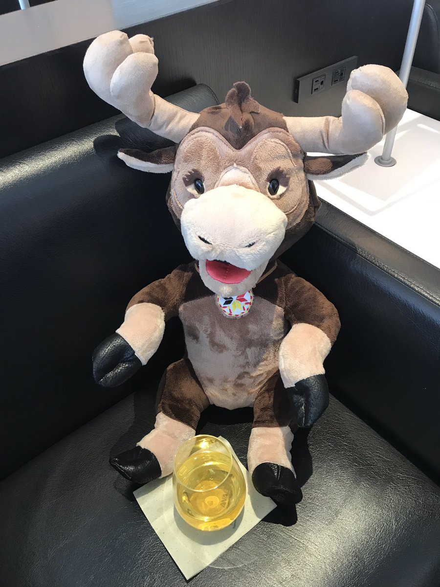encrypto99's tweet photo. #ANA lounge in Narita. Just enjoying a some green tea before heading to Shanghai. Another week of IoT. #Antle #SprigLearning https://t.co/hr5joOH1Y4