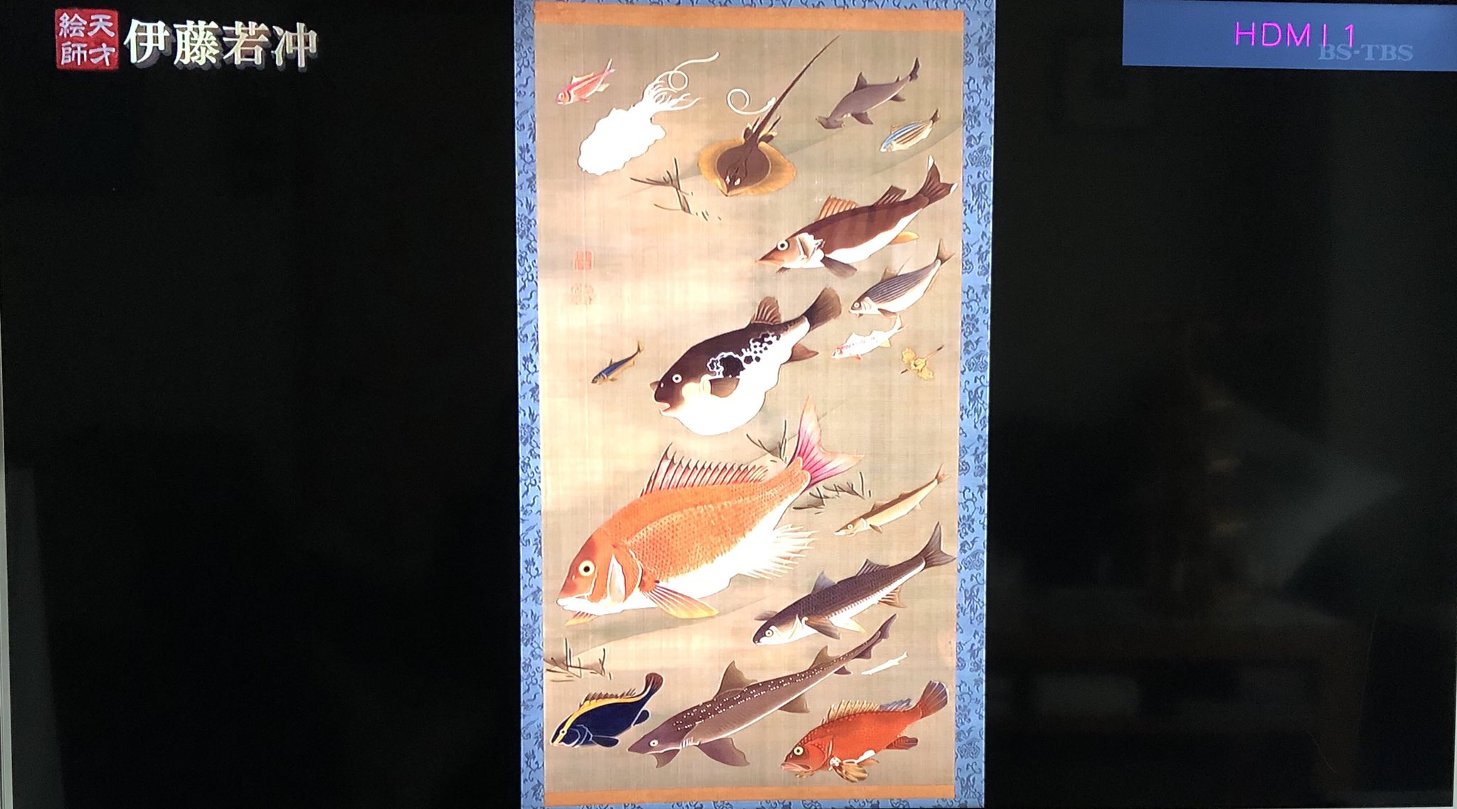 Kaoru ゚ Bs Tbsで伊藤若冲の作品を紹介する番組が 12時 12時54分 放映されてる 若冲 もその当時ヨーロッパで 青の革命 と言われた絵の具 プルシアンブルー を使っていた Kaoru ゚ Bs Tbsで伊藤若冲の作品を紹介する番組が 12時 12時54分 放映されてる 若冲 もその当時ヨーロッパで 青の革命 と言われた絵の具 プルシアンブルー を使っていた