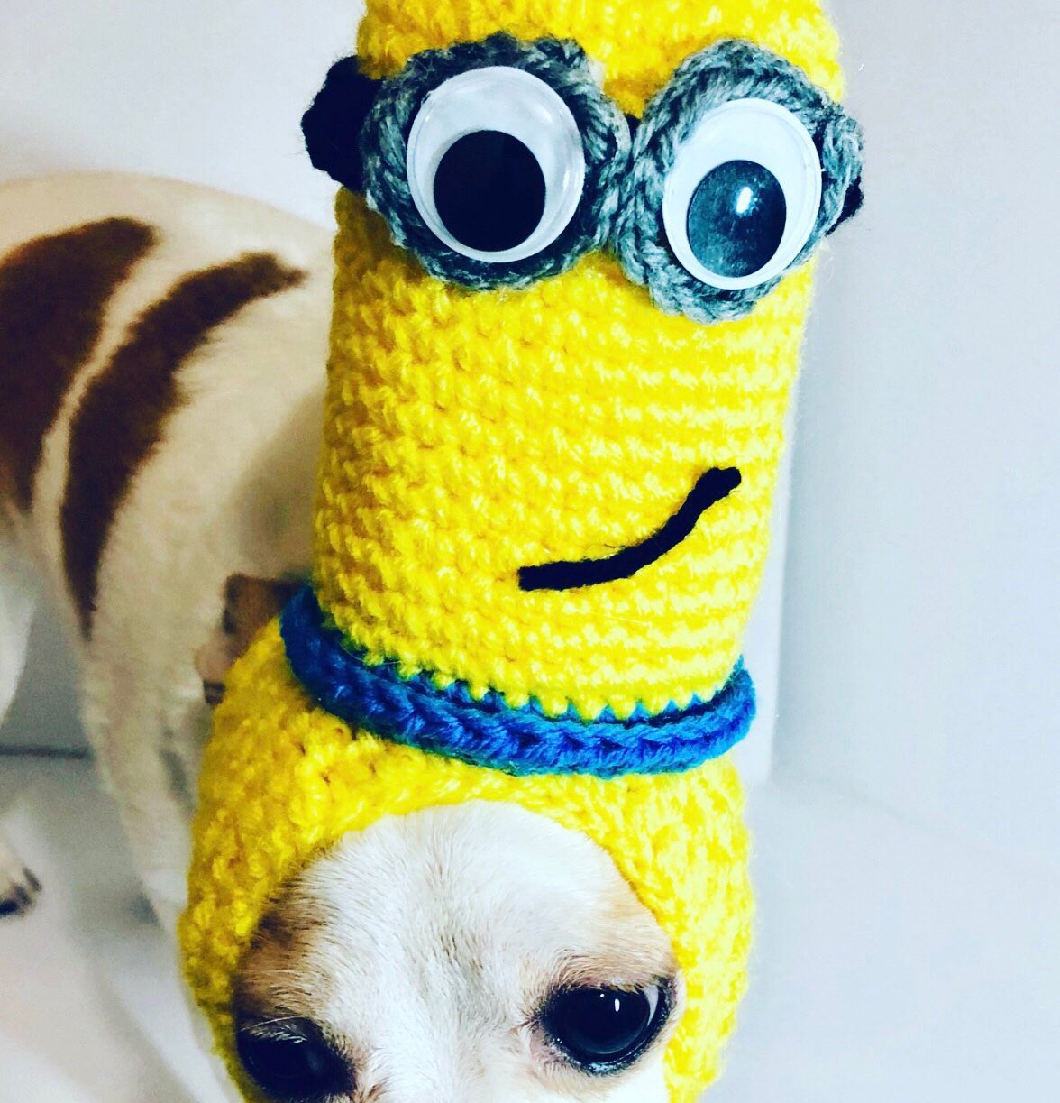 Crochet dog accessories deals